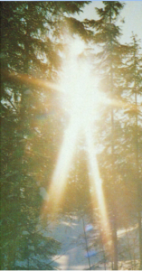 Solstråler gjennom tre (bilde til advent-1)